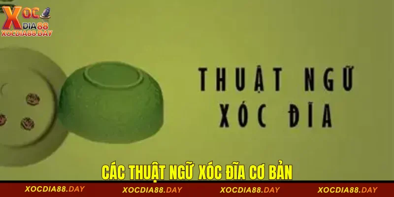 Các thuật ngữ xóc đĩa cơ bản