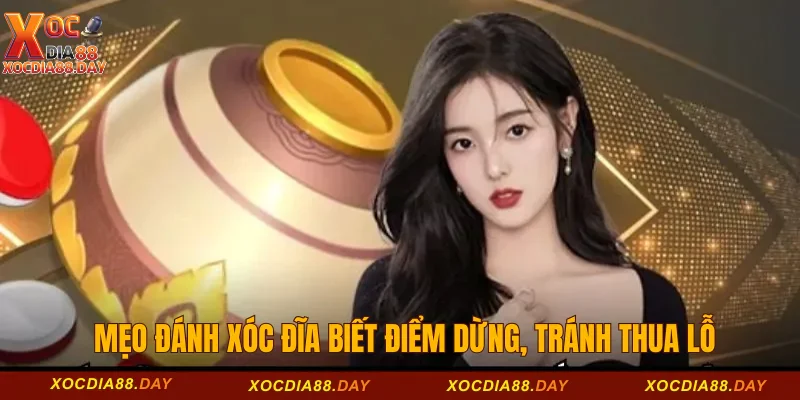 Mẹo đánh xóc đĩa biết điểm dừng, tránh thua lỗ